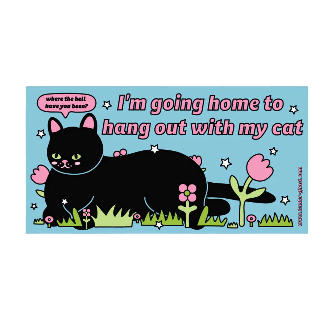 Hang Out With My Cat Bumper Magnet
