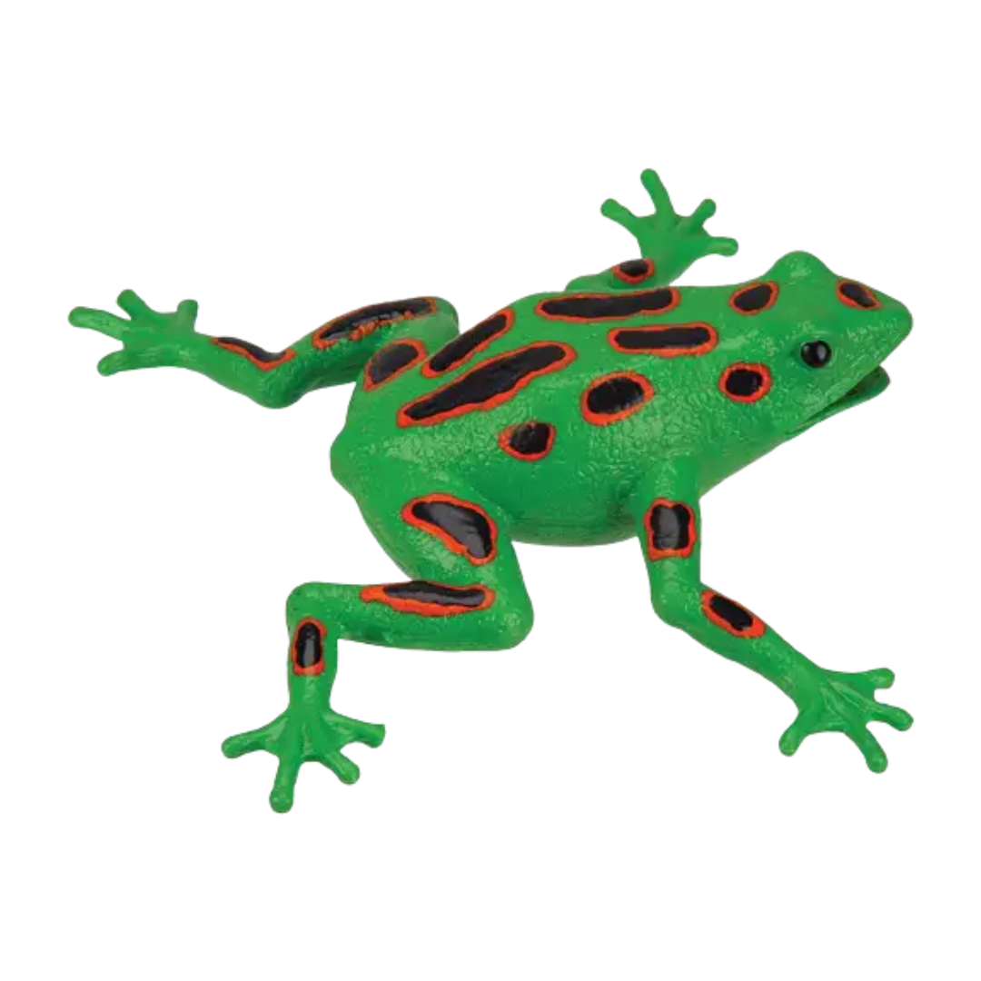 Frog Squishimals Squishy Toys