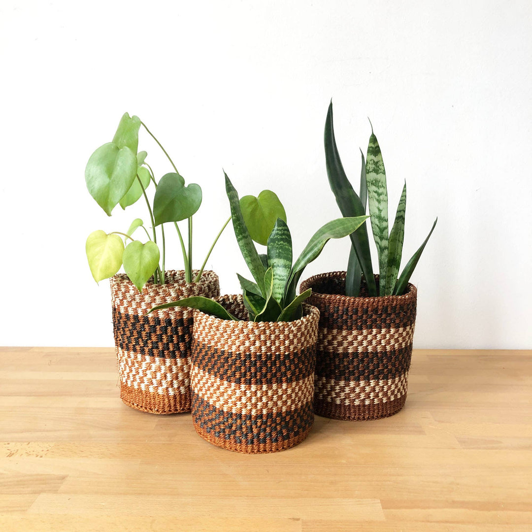 XS Checkered Baskets