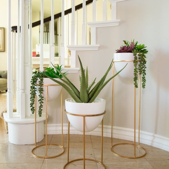 Matte White Ceramic Pot with Gold Stand
