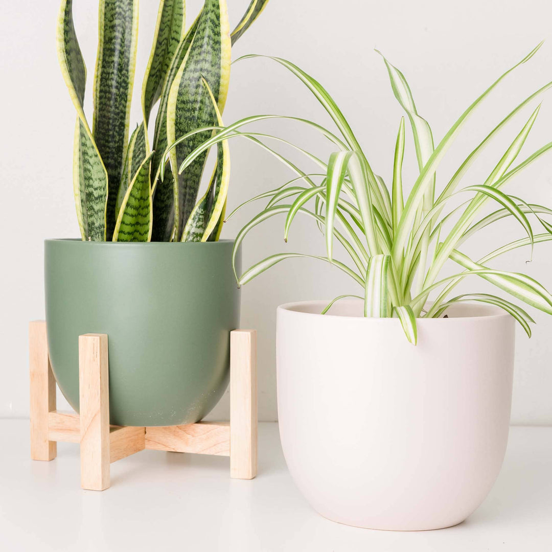 Pink Contour Ceramic Planter
