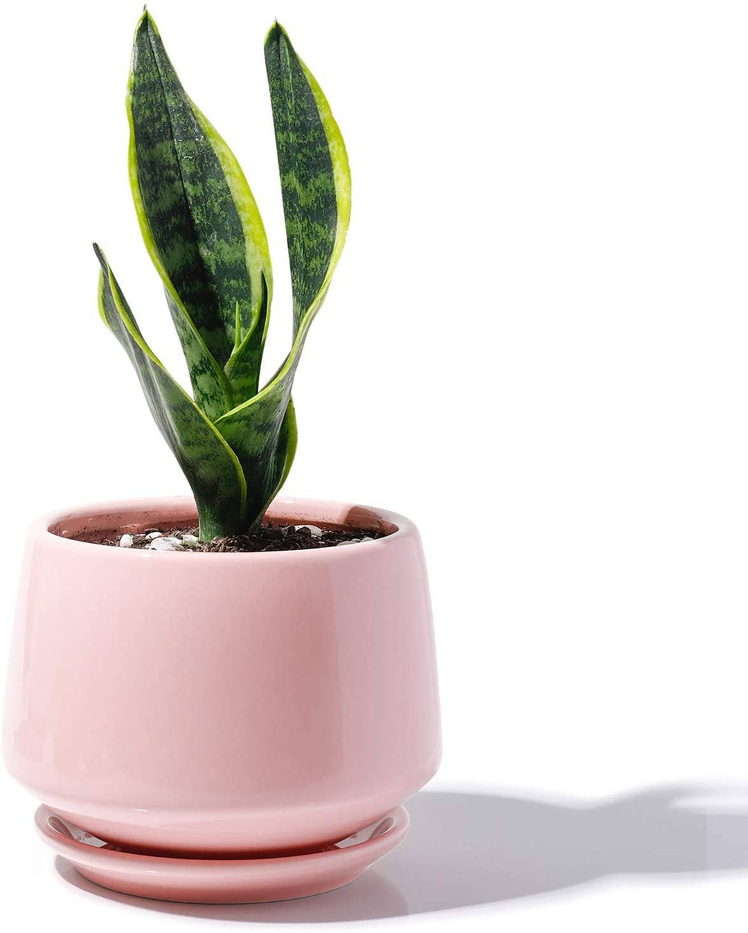 5.1" Pink Porcelain Planter with Saucer