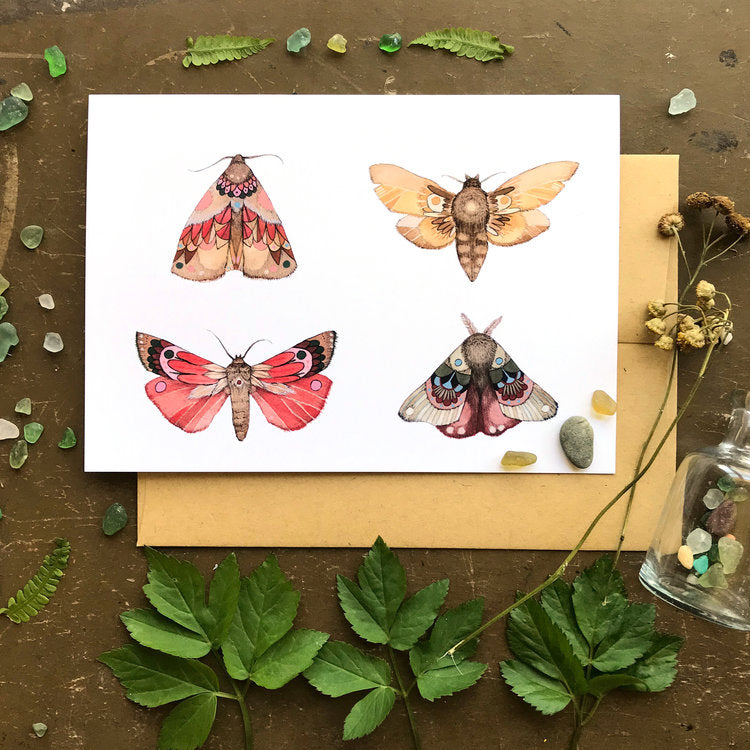 Collector: Moths I - Greeting Card