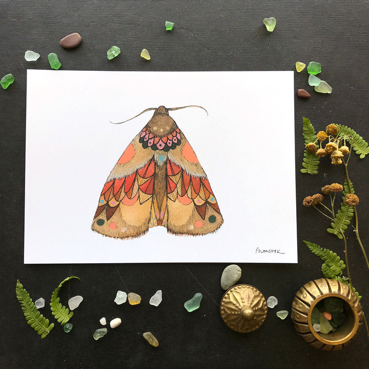 Collector: Moth 2 - Art Print