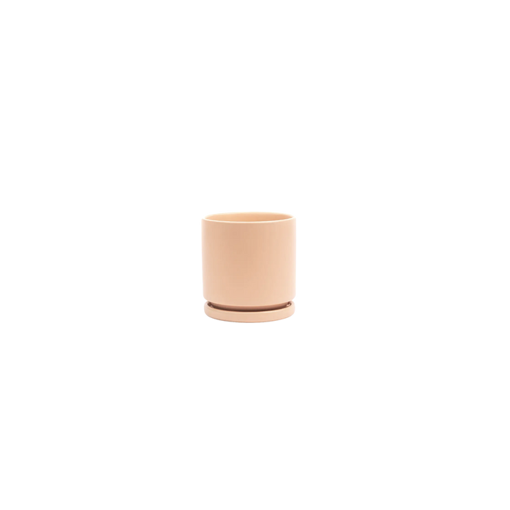 4.5" Gemstone Cylinder Pots with Water Tray