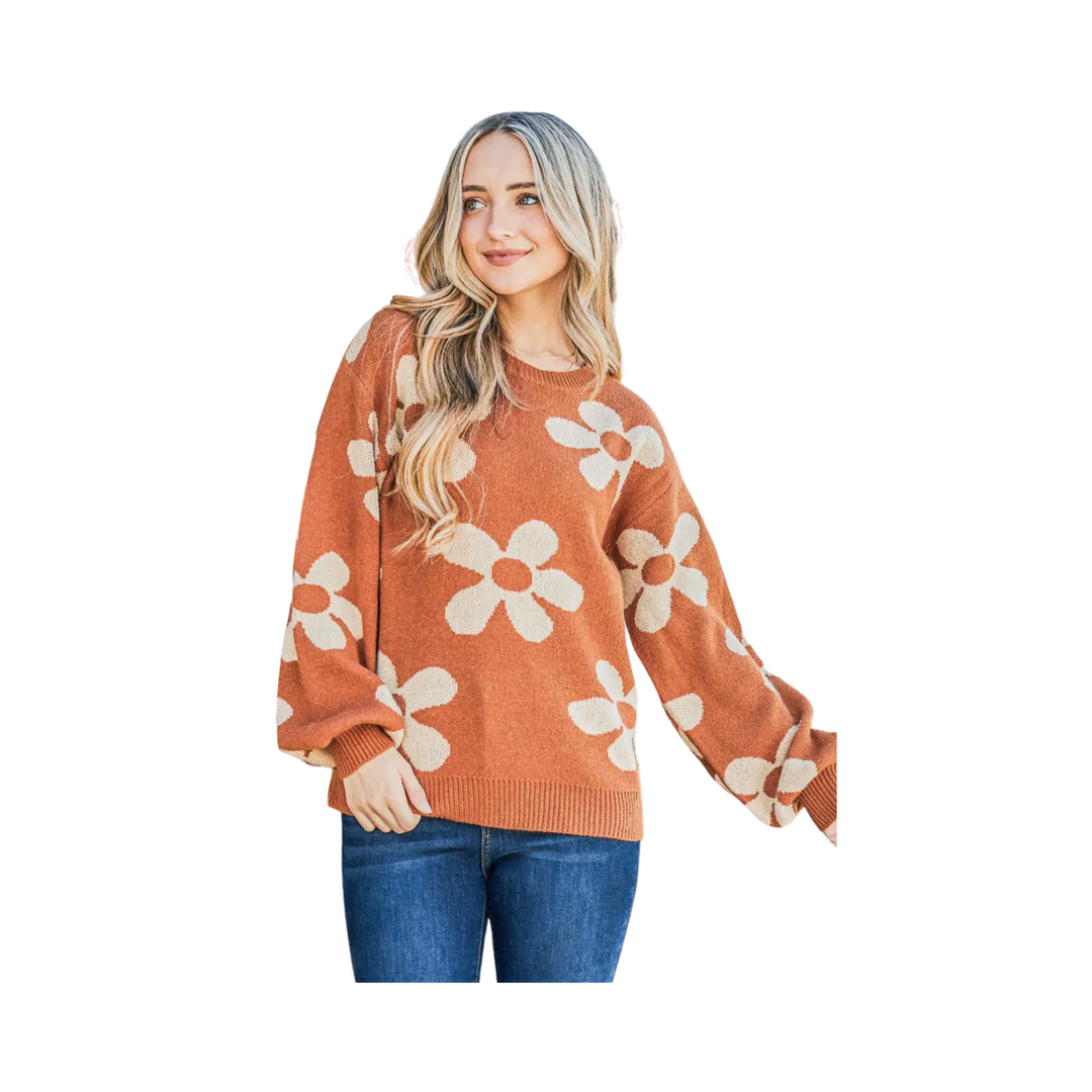 Daisy Allover Print Pullover Sweater Plus Size