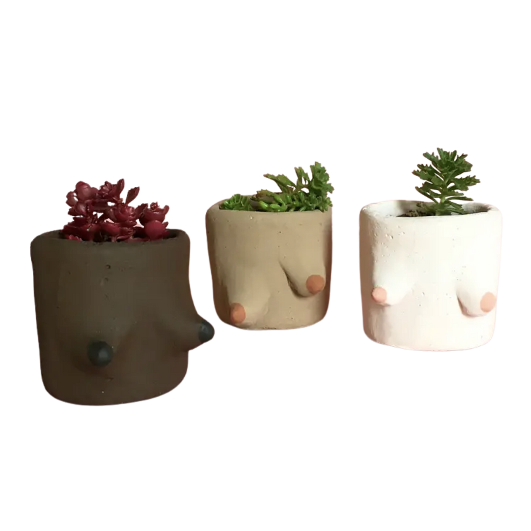 boob plant pot Painted Cement Boob Pots – Golden Hour Gift Co