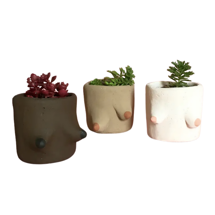 Painted Cement Boob Pots