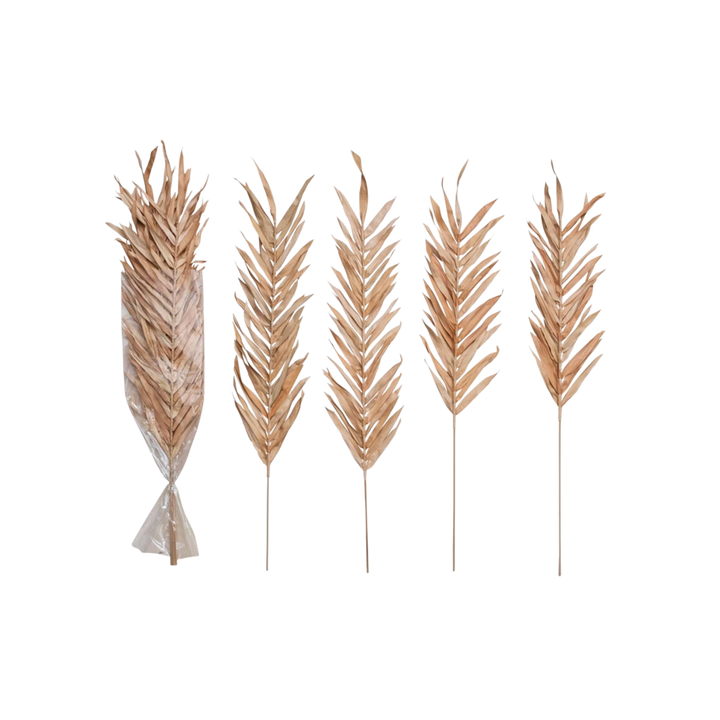 Dried Natural Fountain Palm Bunch