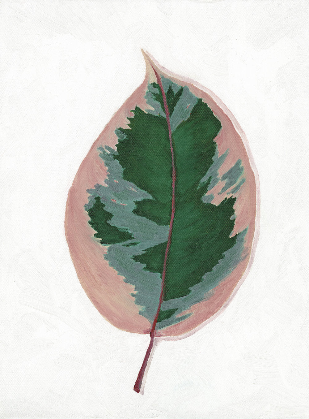 Ficus Ruby Houseplant (Oil)Art Print