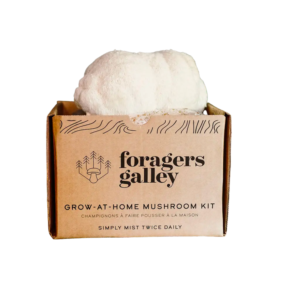 Lion's Mane Mushroom Grow-at-Home Kit β Golden Hour Gift Co