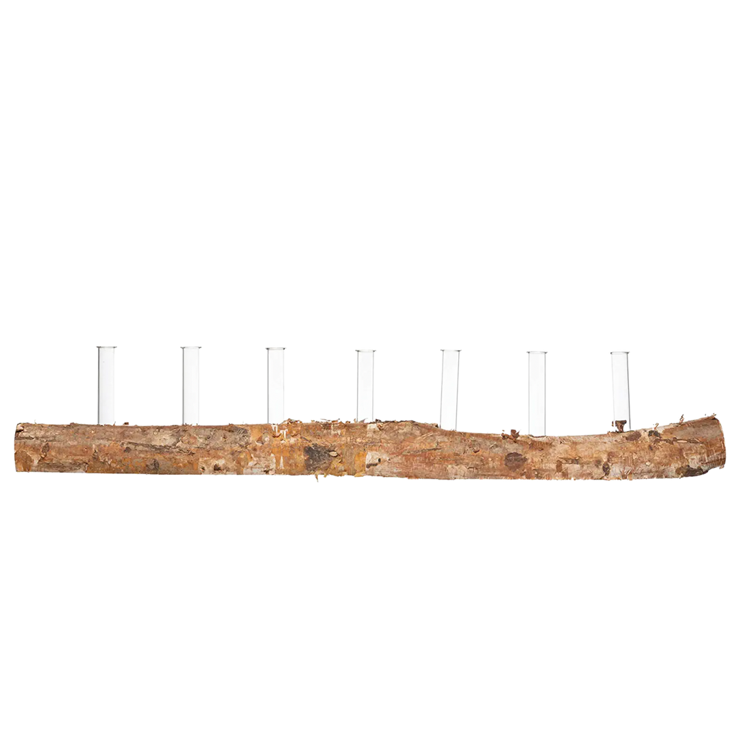 Birch Wood Log base with Seven Glass Tubes for Propagation