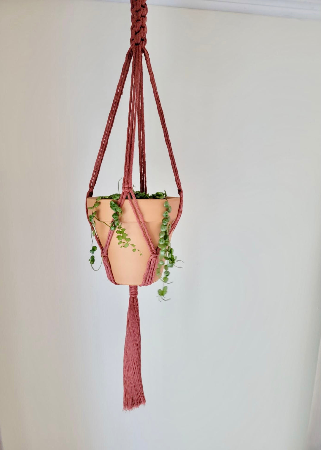 macrame plant hanger crown knot Crown Knot Macrame Plant Hanger – Golden Hour Gift Co