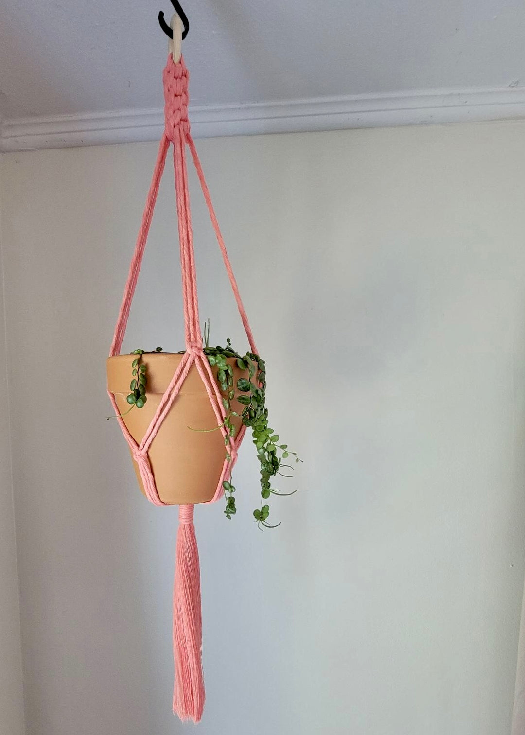 crown knot plant hanger Crown Knot Macrame Plant Hanger – Golden Hour Gift Co