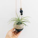 Mini Hanging Sphere Planter- Natural/Black w/Black Dots