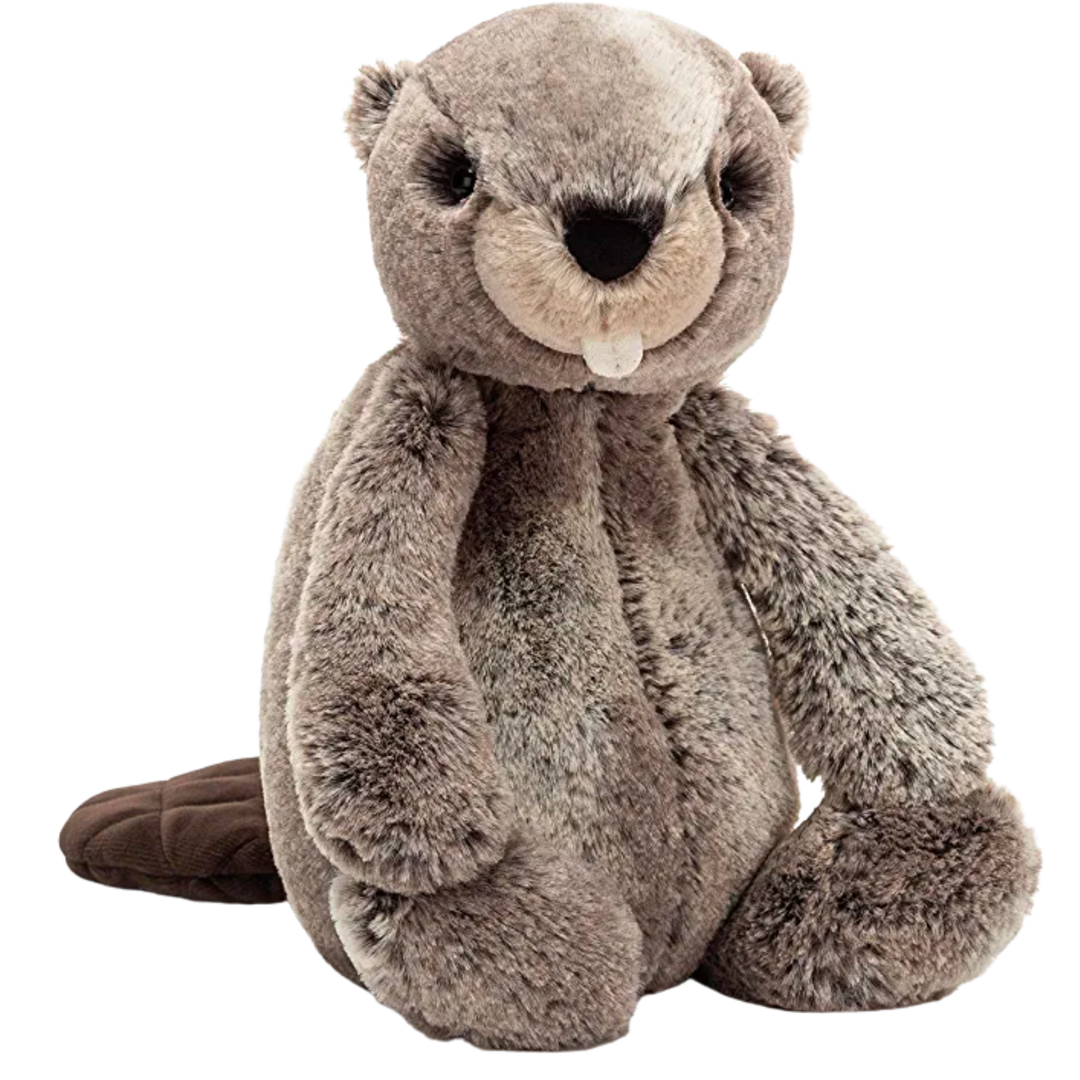 Bashful Beaver