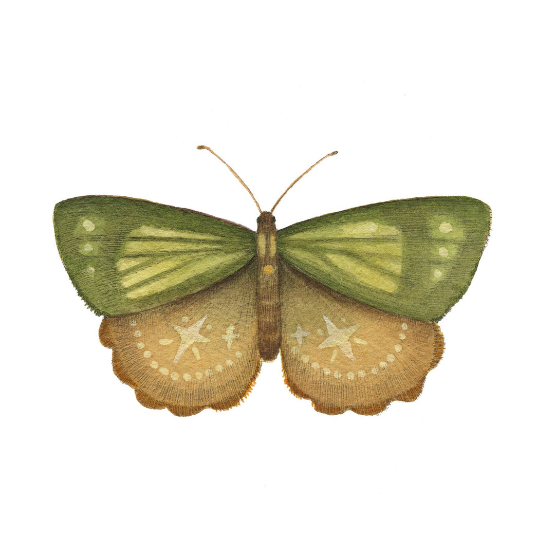 Mineral Moth: Peridot - Art Print