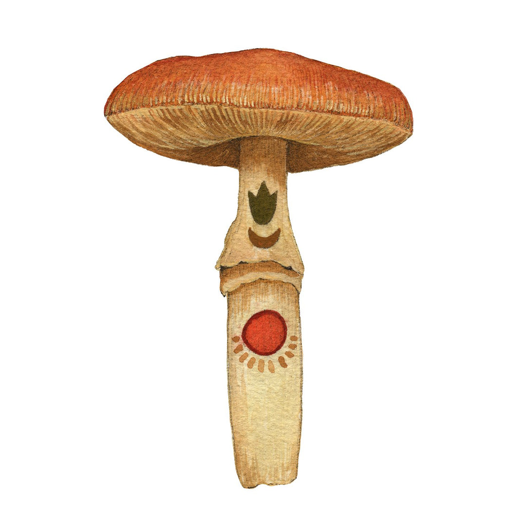 Mineral Mushroom: Carnelian - Art Print
