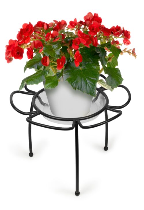 Blossom Plant Stand