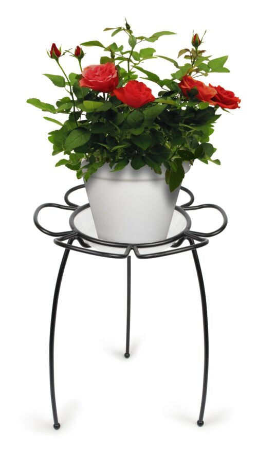 Blossom Plant Stand