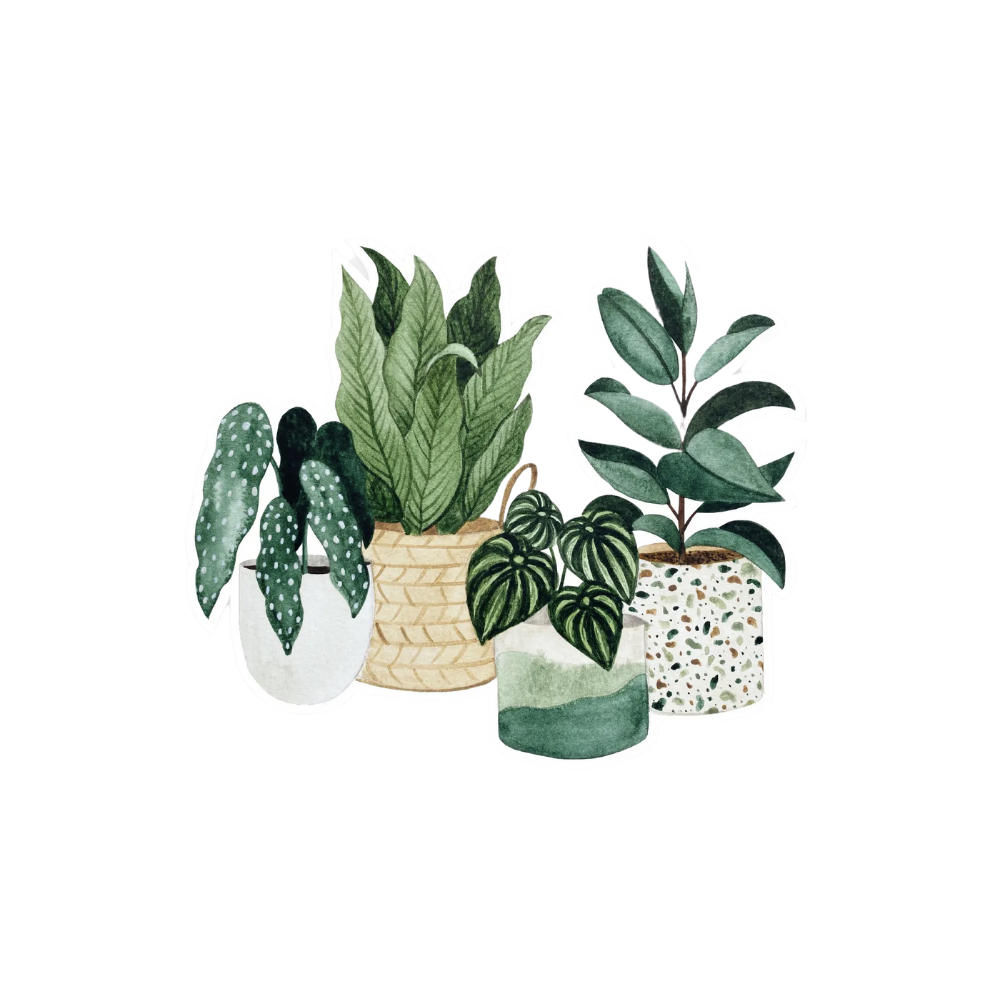 Potted Plant Sticker