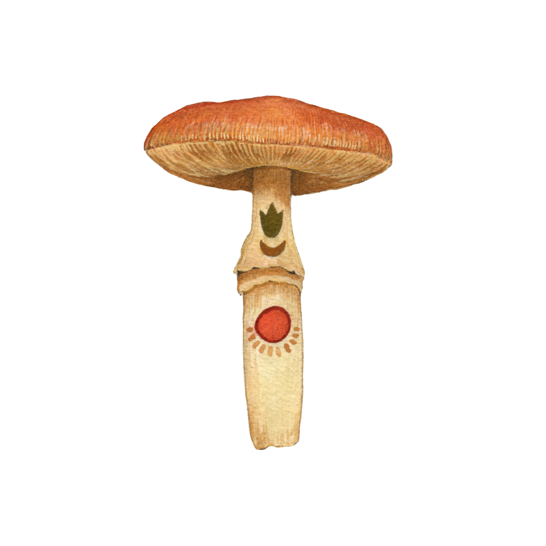 Carnelian Mushroom Sticker