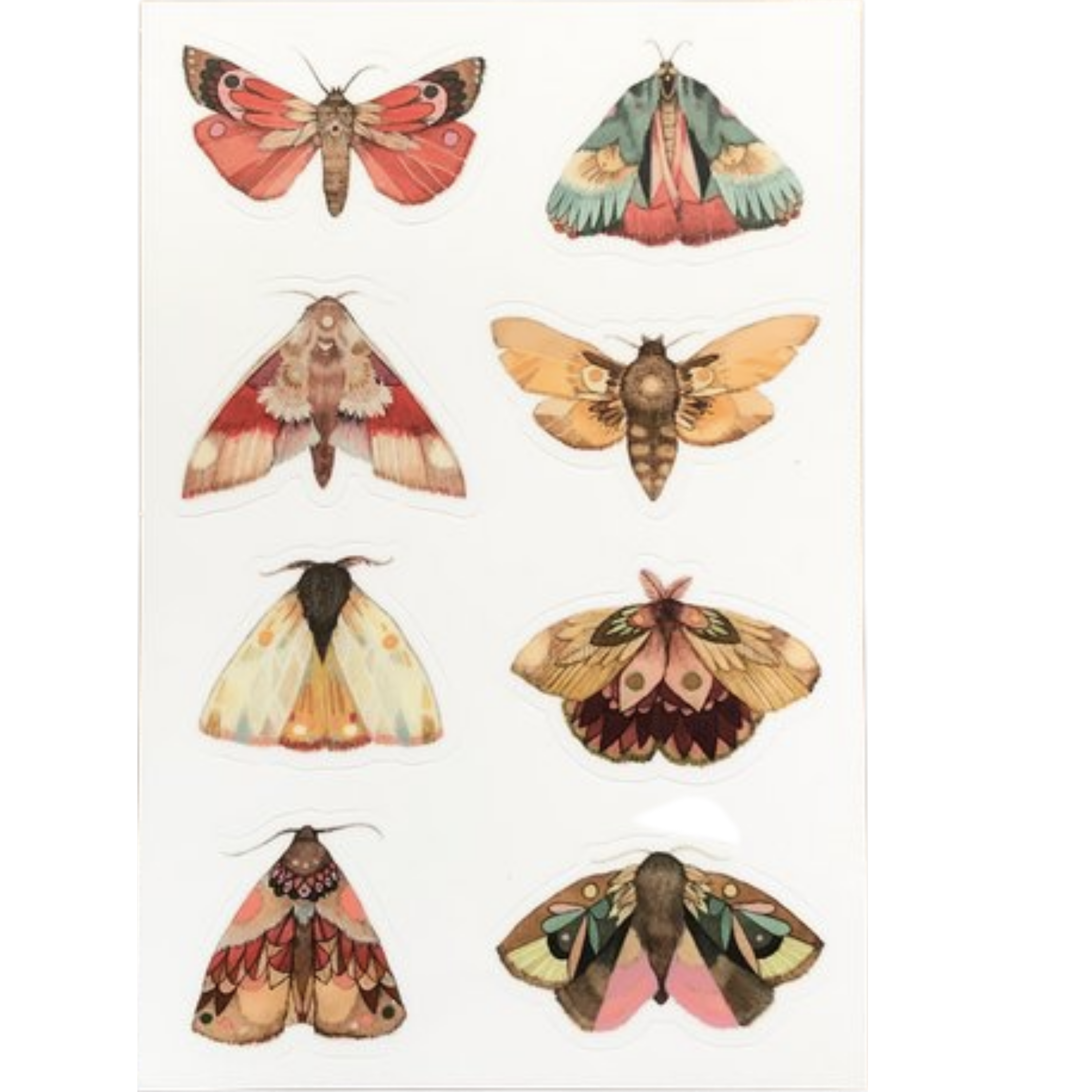 Collector: The Moths Sticker Set – Golden Hour Gift Co