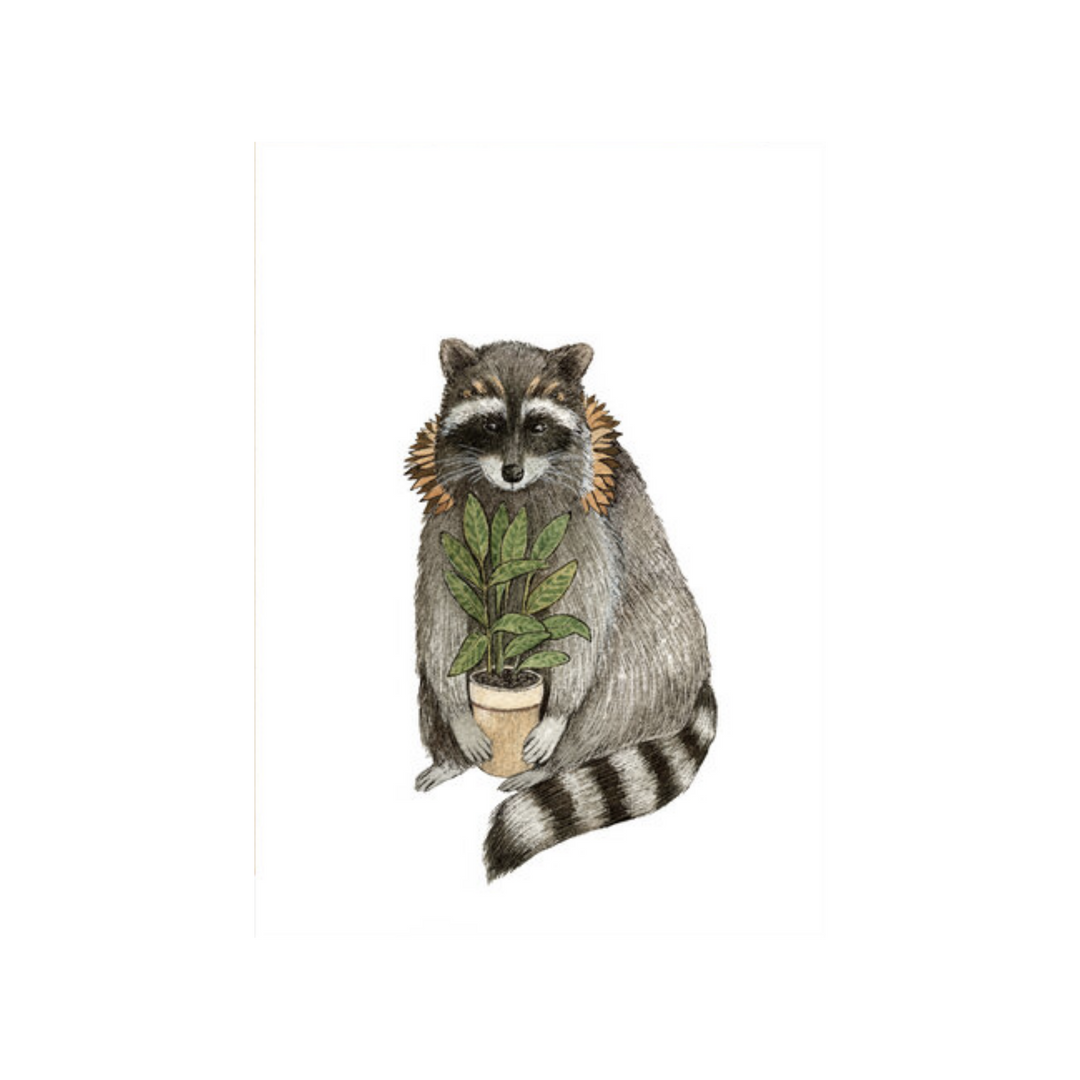 Critters and Plants: Raccoon - Greeting Card