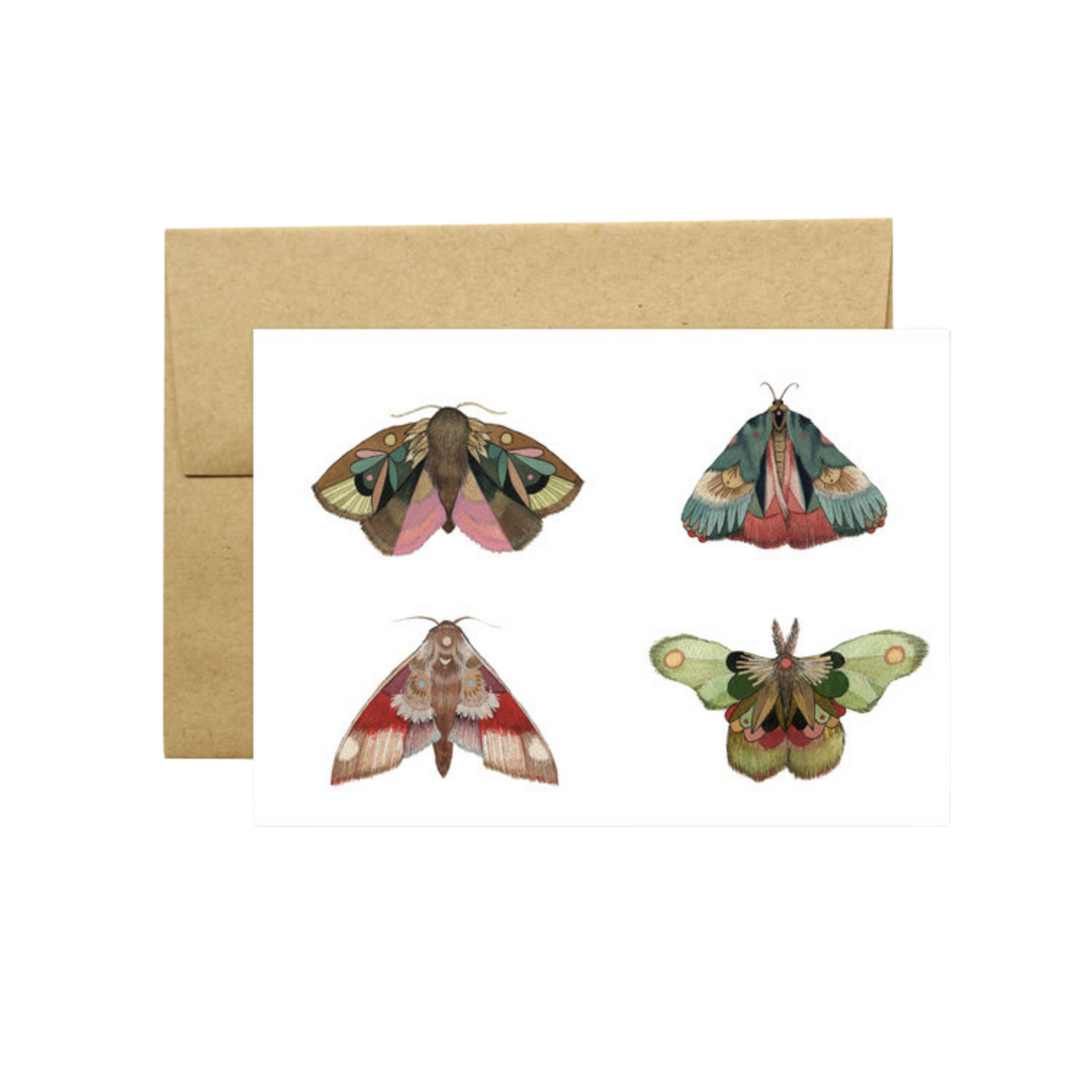 Collector: Moths II - Greeting Card