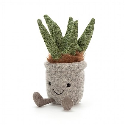 Silly Succulent
