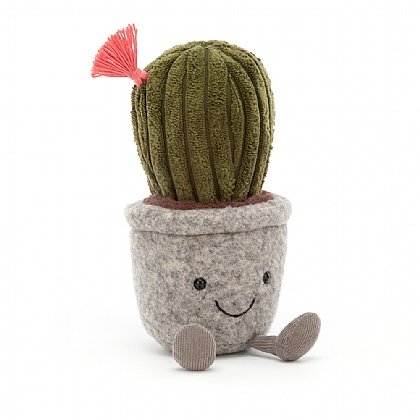 Silly Succulent