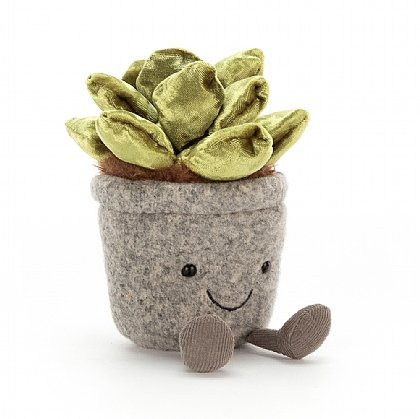 Silly Succulent