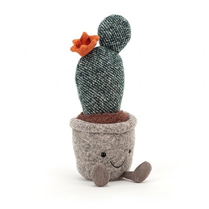 Silly Succulent