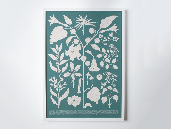 Art Print - Fantastic Plants
