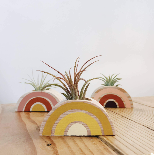 Rainbow Air Plant Holder (PLANT NOT INCLUDED)