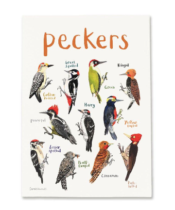 Peckers A3 Art Print