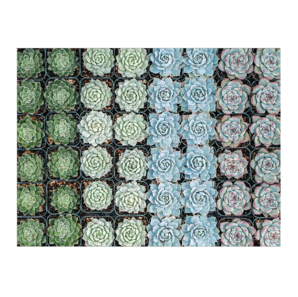 Succulent Garden 2-sided 500 Piece Puzzle