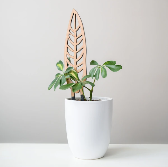 Anthrulla - Plant trellis inspired by the Queen Anthurium