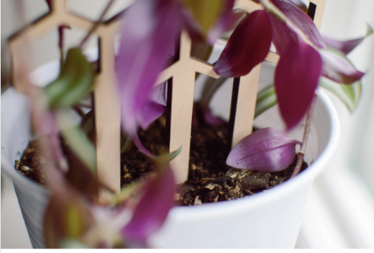 11" Honeycomb Plant Trellis Stakes