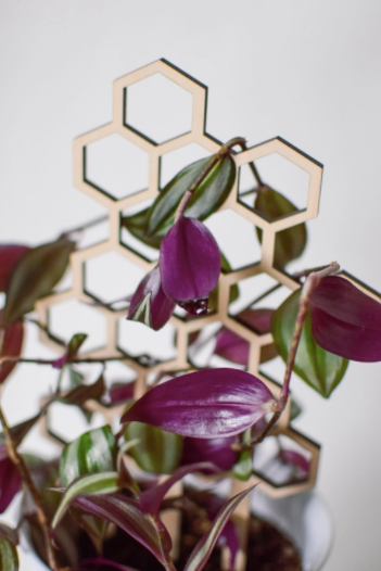 11" Honeycomb Plant Trellis Stakes