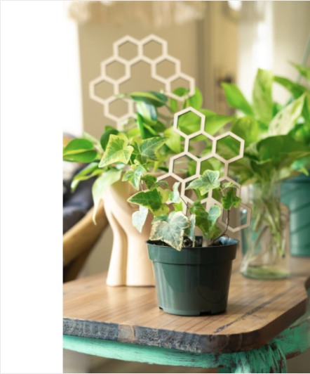 7.5" Honeycomb Plant Trellis Stakes