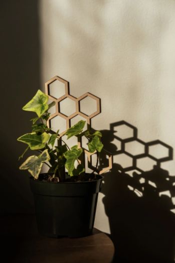 7.5" Honeycomb Plant Trellis Stakes