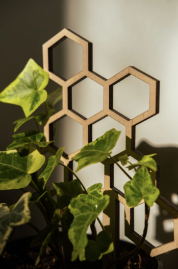 7.5" Honeycomb Plant Trellis Stakes