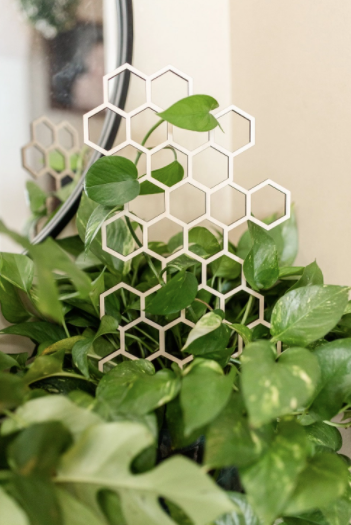honeycomb plant trellis 18.5" Honeycomb Plant Trellis Stakes – Golden Hour Gift Co