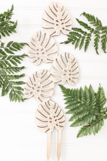 Climbing Monstera Trellis