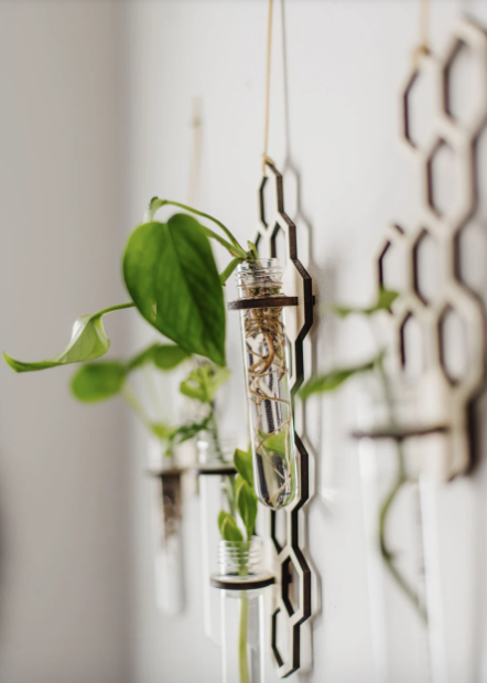 Honeycomb Hanging Propagation Station