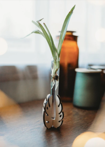 Monstera Leaf Tabletop Propagation Station