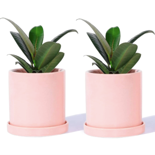 3.8 Inch Pink Cylinder Plant Pot with Saucer