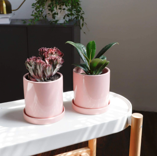 3.8 Inch Pink Cylinder Plant Pot with Saucer