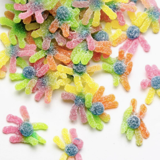 Sour Gummy Octopus